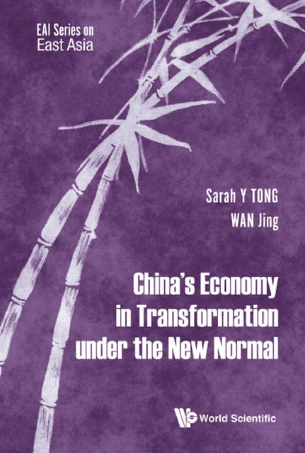 China's Economy in Transformation under the New Normal, Sarah Y Tong