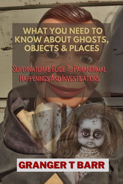 What You Should Know About Ghosts, Objects And Places, Granger T Barr