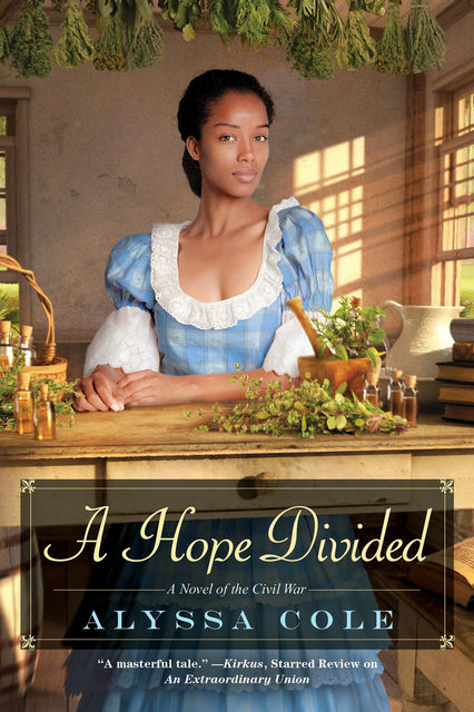 A Hope Divided, Alyssa Cole