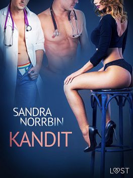 Kandit – eroottinen novelli, Sandra Norrbin
