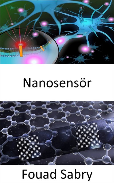 Nanosensör, Fouad Sabry