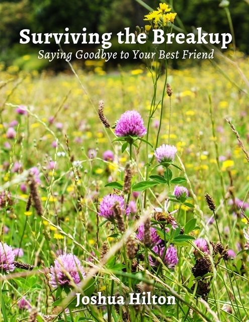Surviving the Breakup: Saying Goodbye to Your Best Friend, Joshua Hilton