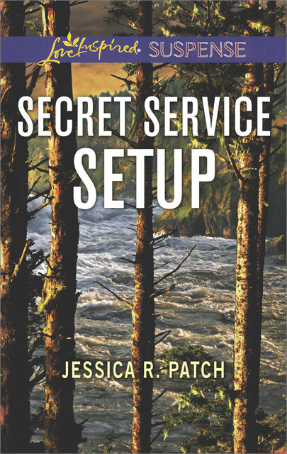 Secret Service Setup, Jessica R. Patch
