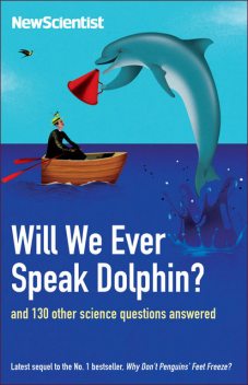 Will We Ever Speak Dolphin?, Mick O’Hare