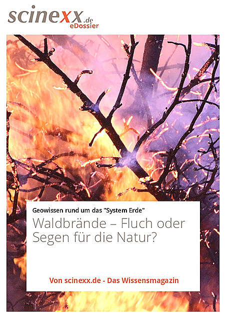 Waldbrände, Ute Schlotterbeck