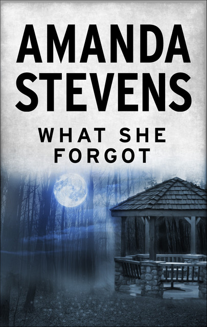 What She Forgot, Amanda Stevens