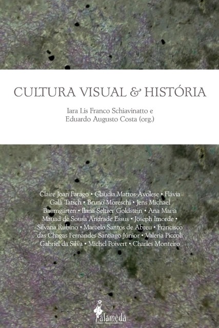 Cultura Visual e História, Eduardo Aguiar Costa, Iara Lins Franco Shiavinatto