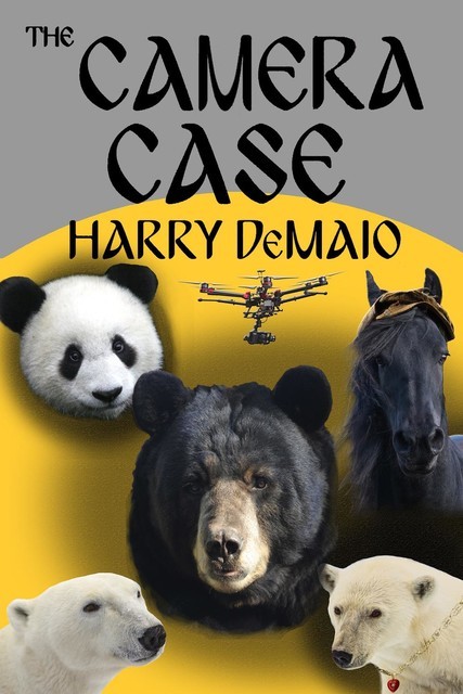 The Camera Case, Harry DeMaio