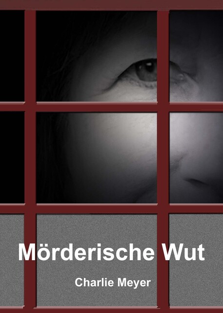 Mörderische Wut, Charlie Meyer