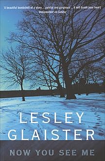 Now You See Me, Lesley Glaister