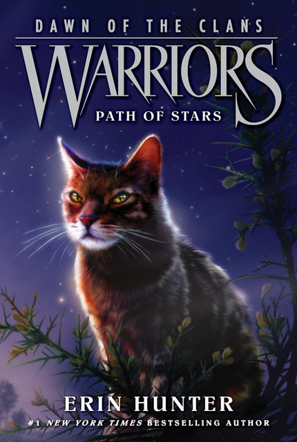 Warriors: Dawn of the Clans #6: Path of Stars, Erin Hunter