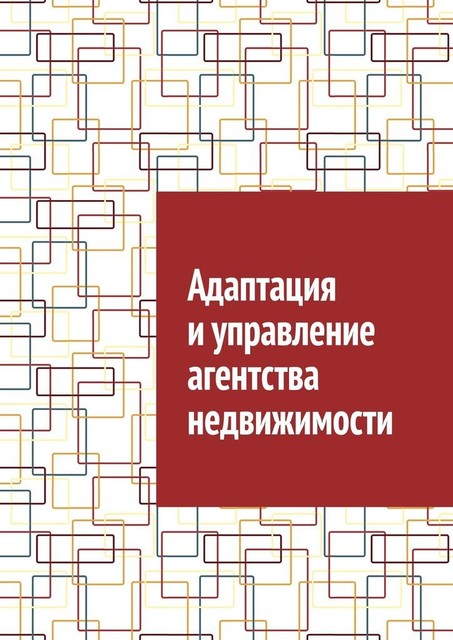 Адаптация и управление агентства недвижимости, Антон Шадура