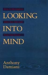 Looking into Mind, Anthony Damiani