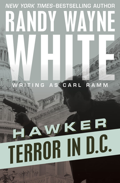 Terror in D.C, Randy Wayne White