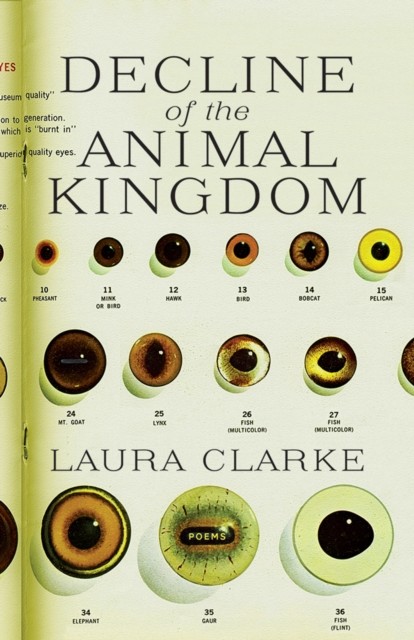 Decline of the Animal Kingdom, Laura Clarke