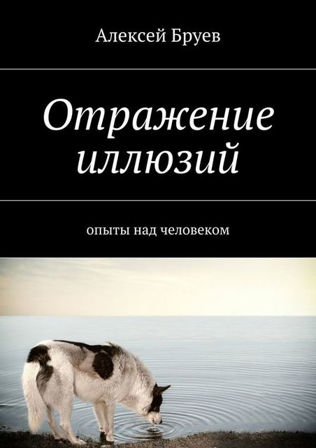 Отражение иллюзий, Алексей Бруев