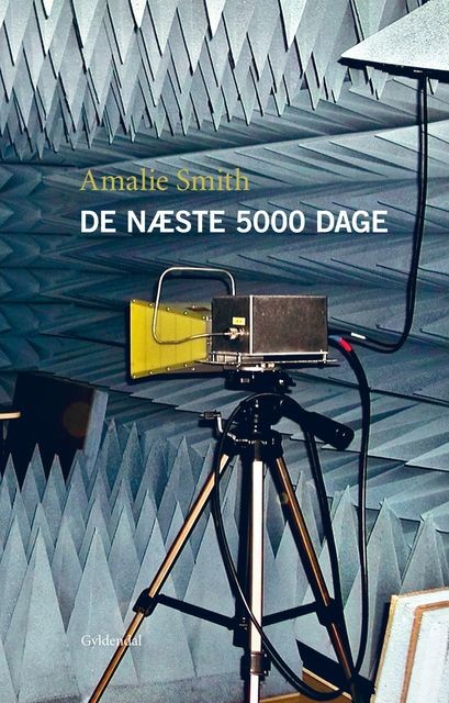 De næste 5000 dage, Amalie Smith