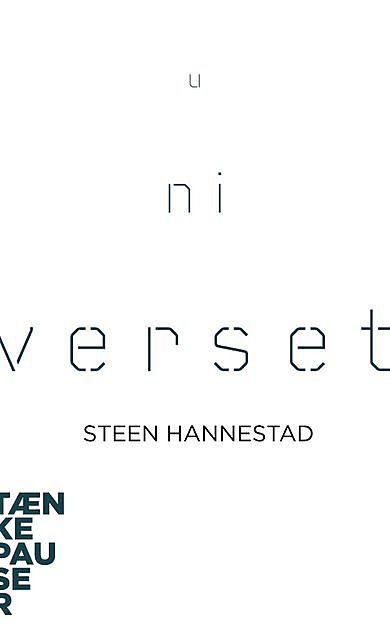 Universet, Steen Hannestad