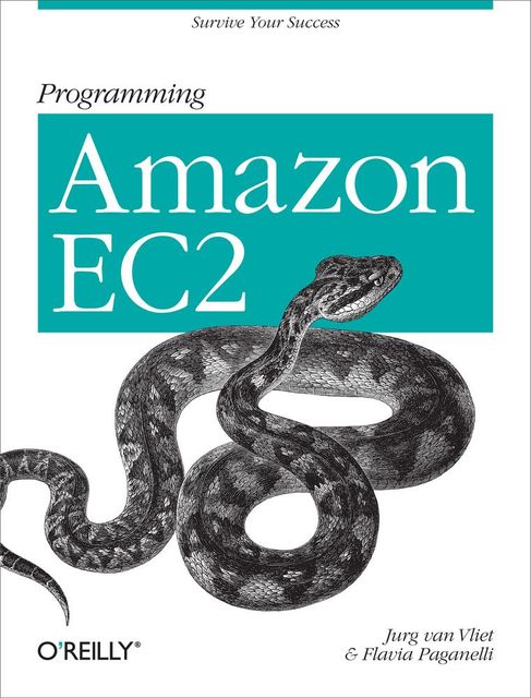 Programming Amazon EC2, Jurg van Vliet