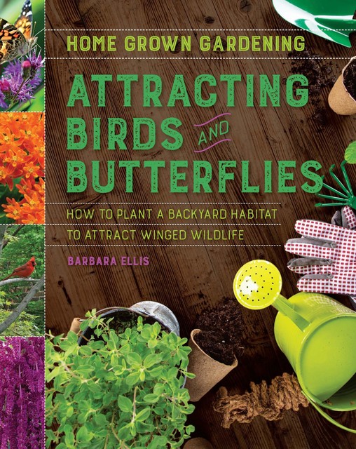 Attracting Birds and Butterflies, Barbara Ellis