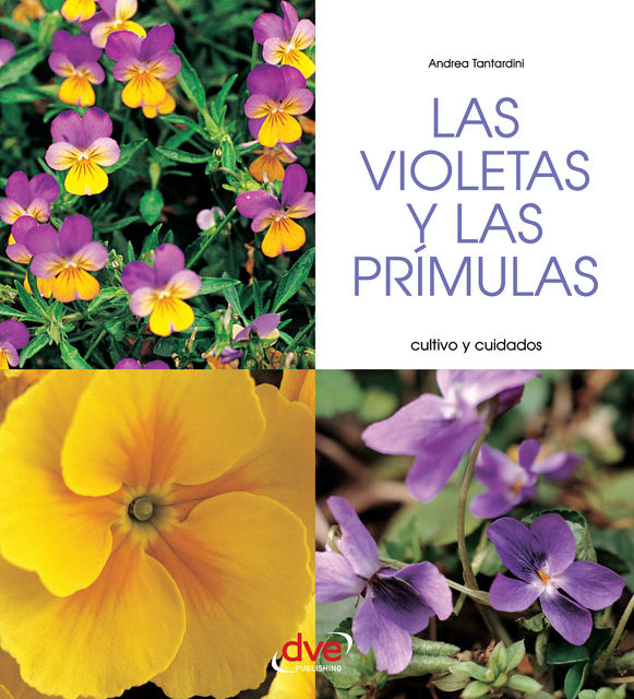 Las violetas y las prímulas – Cultivo y cuidados, Andrea Tantardini
