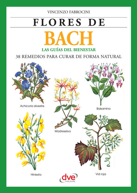 Flores de Bach. Guia del bienestar, 38 Remedios para curar de forma natural, Vincenzo Fabrocini
