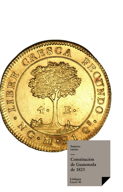 Constitución de Guatemala de 1825, Varios Autores