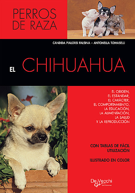 El chihuahua, Antonella Tomasellli, Candida Pialorsi Falsina