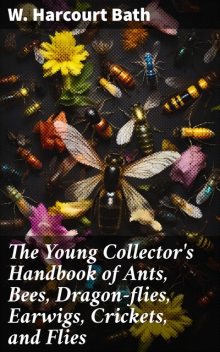 The Young Collector's Handbook of Ants, Bees, Dragon-flies, Earwigs, Crickets, and Flies, W. Harcourt Bath