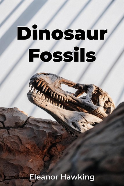 Dinosaur Fossils, Eleanor Hawking