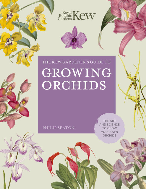 The Kew Gardener's Guide to Growing Orchids, Royal Botanic Gardens Kew, Philip Seaton