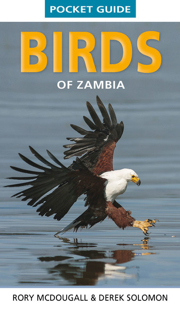 Pocket Guide Birds of Zambia, Derek Solomon, Rory McDougall