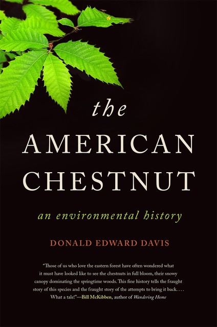 The American Chestnut, Donald Davis