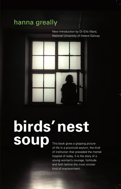 Bird's Nest Soup: Locked-up  in an Irish Psychiatric Hospital, Hanna Greally