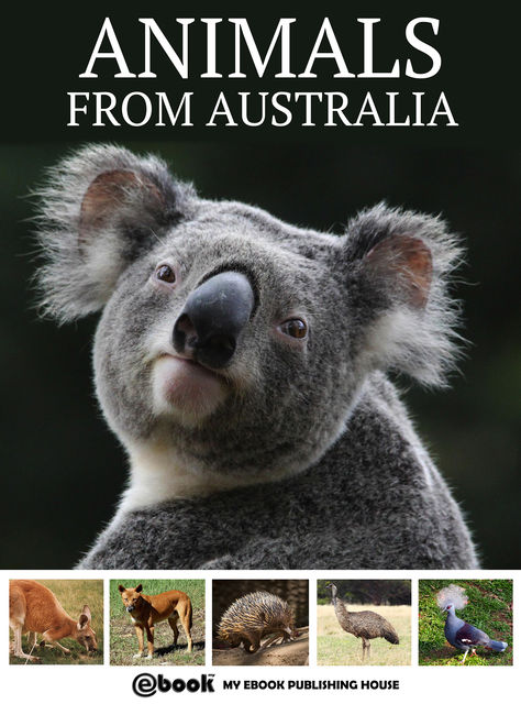 Animals from Australia, My Ebook Publishing House