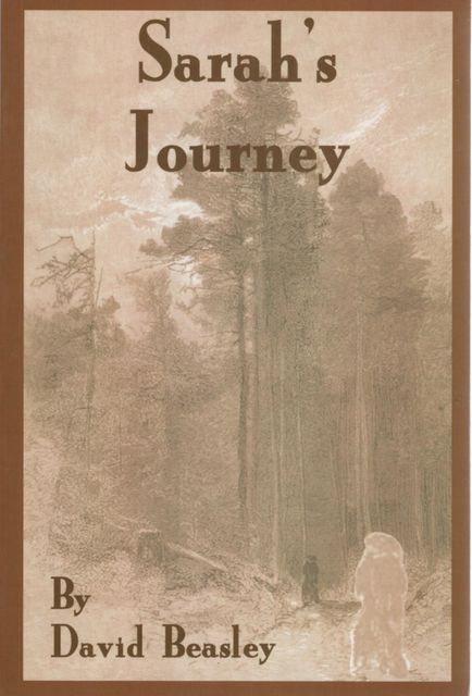 Sarah's Journey, David R Beasley