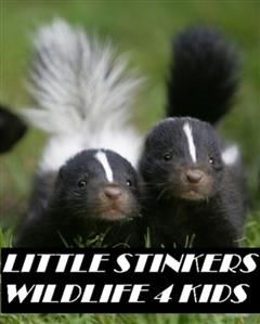 Little Stinkers Wildlife 4 Kids, Animal, Nature 4 Kids