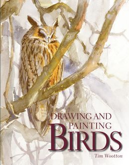 Drawing and Painting Birds, Tim Wootton