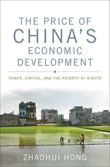 The Price of China's Economic Development, Zhaohui Hong