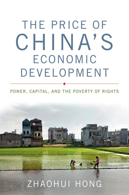 The Price of China's Economic Development, Zhaohui Hong