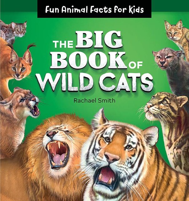 The Big Book of Wild Cats, Rachael Smith