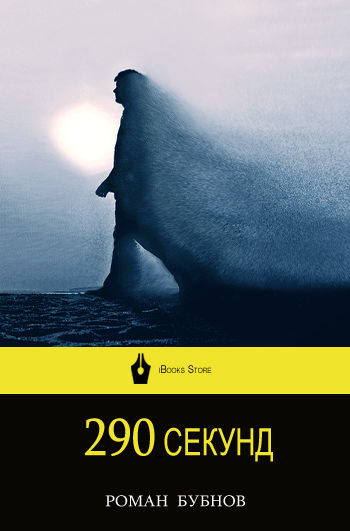 290 секунд, Роман Бубнов