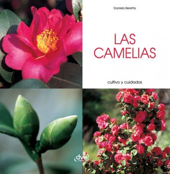 Las camelias – Cultivo y cuidados, Daniela Beretta