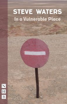 In a Vulnerable Place, Steve Waters