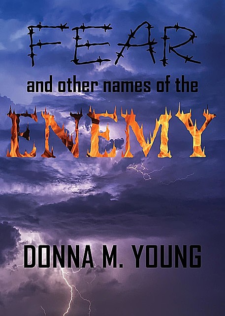 Fear and Other Names of the Enemy, Donna Young