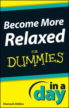Become More Relaxed In A Day For Dummies, Shamash Alidina