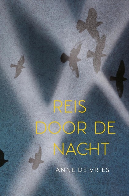 Reis door de nacht, Anne de Vries