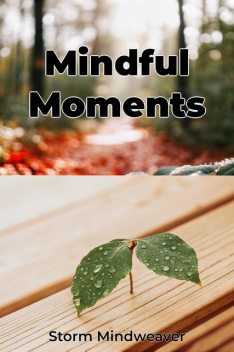 Mindful Moments, Storm Mindweaver