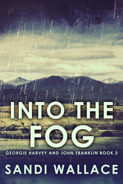 Into The Fog, Sandi Wallace