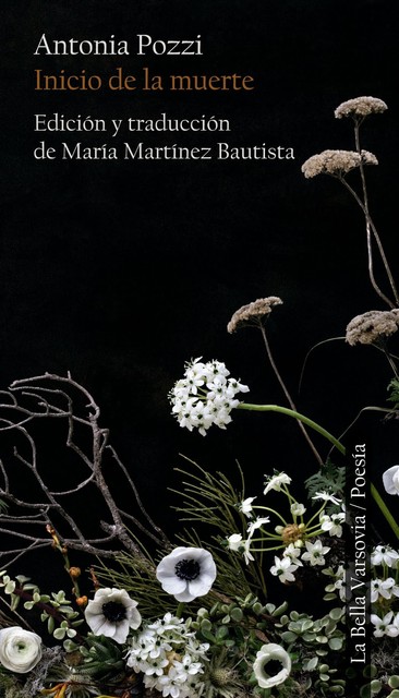 Inicio de la muerte, Antonia Pozzi